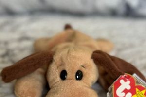 Guide to Beanie Baby Dogs Values: Collectible Canine Plush Baby Care 101: Essential Tips for Happy, Healthy Babies Guide to Beanie Baby Dogs Values: Collectible Canine Plush | Baby Care 101: Essential Tips for Happy, Healthy Babies