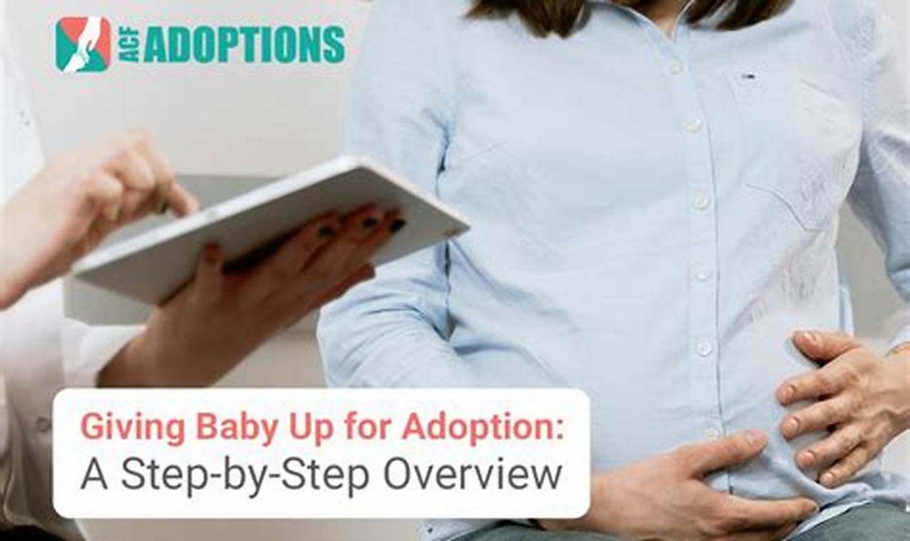 Considering Giving Baby Up For Adoption? A Guide | Baby Care 101: Essential Tips for Happy, Healthy Babies