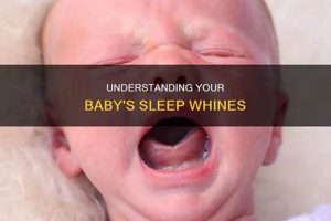 Baby Sleep: Why *Does* My Baby Whine in Sleep? & Tips Baby Care 101: Essential Tips for Happy, Healthy Babies Baby Sleep: Why *Does* My Baby Whine in Sleep? & Tips | Baby Care 101: Essential Tips for Happy, Healthy Babies