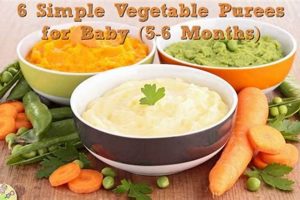 Best Vegetable Baby Food: Recipes & Guide for Your Little One! Baby Care 101: Essential Tips for Happy, Healthy Babies Best Vegetable Baby Food: Recipes & Guide for Your Little One! | Baby Care 101: Essential Tips for Happy, Healthy Babies