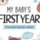 Track Baby's First Year Calendar: Milestones & Memories | Baby Care 101: Essential Tips for Happy, Healthy Babies