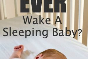 Baby Sleep: When Should You Wake a Sleeping Baby? Tips Baby Care 101: Essential Tips for Happy, Healthy Babies Baby Sleep: When Should You Wake a Sleeping Baby? Tips | Baby Care 101: Essential Tips for Happy, Healthy Babies