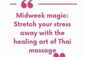 Discover The Art of Thai Massage Baby Gemini Benefits! | Baby Care 101: Essential Tips for Happy, Healthy Babies