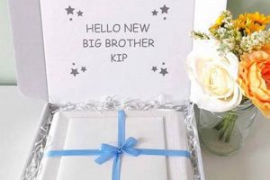 Best Big Brother Gift Ideas from Baby! | Baby Care 101: Essential Tips for Happy, Healthy Babies