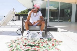 Is Lil Baby Wham Weed Safe? Risks &amp; Alternatives | Baby Care 101: Essential Tips for Happy, Healthy Babies