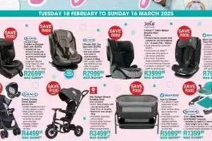 Guide to Baby City Living: Best Places for Babies! | Baby Care 101: Essential Tips for Happy, Healthy Babies