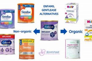 Beyond Formula: Baby Formula Alternatives Guide | Baby Care 101: Essential Tips for Happy, Healthy Babies