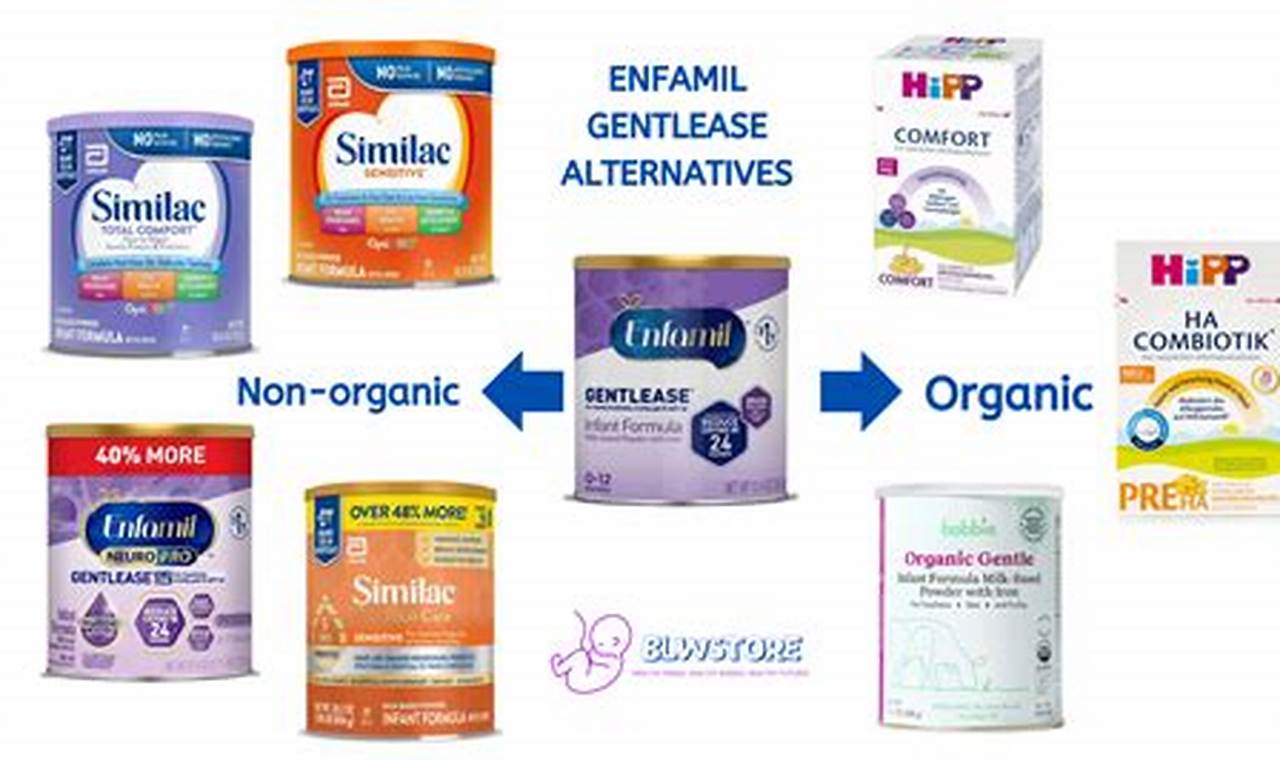 Beyond Formula: Baby Formula Alternatives Guide | Baby Care 101: Essential Tips for Happy, Healthy Babies
