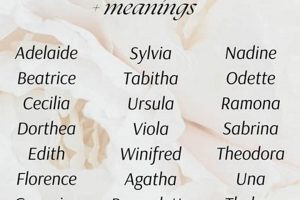 Old Soul? Vintage Baby Girl Names (+ Meanings) | Baby Care 101: Essential Tips for Happy, Healthy Babies