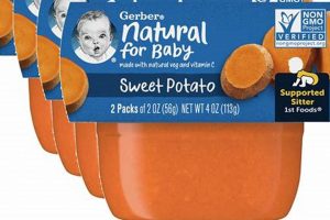 Honest Gerber Baby Food Reviews: Is It The Best Choice? | Baby Care 101: Essential Tips for Happy, Healthy Babies