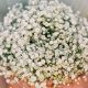Dreamy Baby's Breath Wedding Flowers: Ideas & Tips | Baby Care 101: Essential Tips for Happy, Healthy Babies