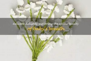 Is Baby's Breath Edible? Safety &amp; Risks of Edible Breath | Baby Care 101: Essential Tips for Happy, Healthy Babies