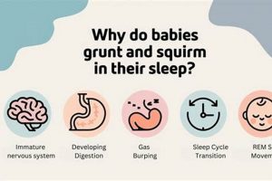Is Baby Squirming in Sleep Normal? Tips &amp; Guide | Baby Care 101: Essential Tips for Happy, Healthy Babies