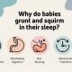 Is Baby Squirming in Sleep Normal? Tips &amp; Guide | Baby Care 101: Essential Tips for Happy, Healthy Babies