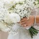 Buy: White Roses with Baby's Breath - Elegant Bouquets | Baby Care 101: Essential Tips for Happy, Healthy Babies