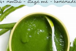 Easy How to Make Green Bean Baby Food: A Guide + Tips! | Baby Care 101: Essential Tips for Happy, Healthy Babies