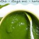 Easy How to Make Green Bean Baby Food: A Guide + Tips! | Baby Care 101: Essential Tips for Happy, Healthy Babies