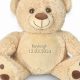 Safe & Cuddly: The Best First Teddy Bear for Baby Gift! | Baby Care 101: Essential Tips for Happy, Healthy Babies