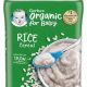 Best Organic Rice Cereal for Babies: Safe Start + | Baby Care 101: Essential Tips for Happy, Healthy Babies