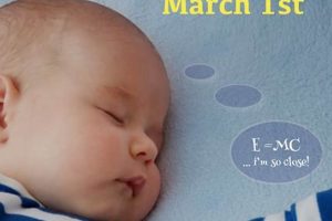 Guide to Baby Sleep Day: Tips & Schedules | Baby Care 101: Essential Tips for Happy, Healthy Babies