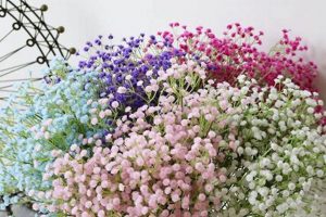 Exploring Baby's Breath Colors: Types & Meanings | Baby Care 101: Essential Tips for Happy, Healthy Babies