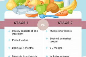 Best Stage 2 Baby Foods: Recipes &amp; Buying Guide | Baby Care 101: Essential Tips for Happy, Healthy Babies