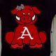 Shop Razorback Baby Clothes: Cute Hogs Apparel! | Baby Care 101: Essential Tips for Happy, Healthy Babies