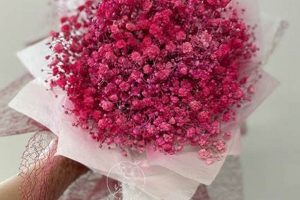 Buy Pink Baby's Breath Bouquet Online: Delicate & Pretty Baby Care 101: Essential Tips for Happy, Healthy Babies Buy Pink Baby's Breath Bouquet Online: Delicate & Pretty | Baby Care 101: Essential Tips for Happy, Healthy Babies