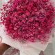 Buy Pink Baby's Breath Bouquet Online: Delicate & Pretty | Baby Care 101: Essential Tips for Happy, Healthy Babies