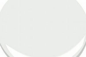 Discover Baby's Breath Paint Color: Ideas & Inspiration | Baby Care 101: Essential Tips for Happy, Healthy Babies