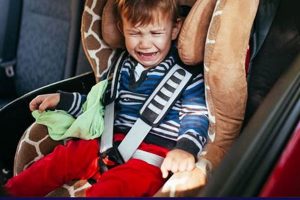 Help! My Baby Cries Hysterically in the Car: Tips &amp; Solutions | Baby Care 101: Essential Tips for Happy, Healthy Babies