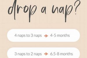 Baby's Sleep: When Do Babies Move to One Nap? Guide | Baby Care 101: Essential Tips for Happy, Healthy Babies