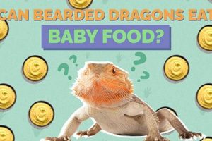 Food Myth: Can Bearded Dragons Eat Baby Food? [Guide] | Baby Care 101: Essential Tips for Happy, Healthy Babies