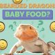 Food Myth: Can Bearded Dragons Eat Baby Food? [Guide] | Baby Care 101: Essential Tips for Happy, Healthy Babies