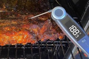 Baby Back Ribs Done Right: What Temp is Perfect? Baby Care 101: Essential Tips for Happy, Healthy Babies Baby Back Ribs Done Right: What Temp is Perfect? | Baby Care 101: Essential Tips for Happy, Healthy Babies