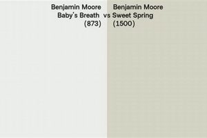 Discover Benjamin Moore Baby's Breath: A Serene White | Baby Care 101: Essential Tips for Happy, Healthy Babies