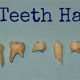 Baby Teeth Roots: Do Milk Teeth Really Have Roots? | Baby Care 101: Essential Tips for Happy, Healthy Babies