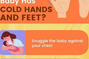 Baby's Cold Hands at Night: Causes & Tips for Parents Baby Care 101: Essential Tips for Happy, Healthy Babies Baby's Cold Hands at Night: Causes & Tips for Parents | Baby Care 101: Essential Tips for Happy, Healthy Babies