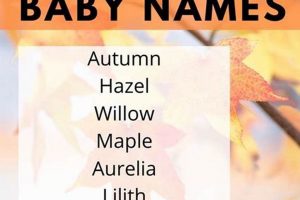Autumn's Embrace: Fall Baby Names & Inspiration Baby Care 101: Essential Tips for Happy, Healthy Babies Autumn's Embrace: Fall Baby Names & Inspiration | Baby Care 101: Essential Tips for Happy, Healthy Babies