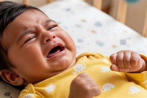 Baby Cries: Why Does My Baby Cry When I Put Him Down? + Tips Baby Care 101: Essential Tips for Happy, Healthy Babies Baby Cries: Why Does My Baby Cry When I Put Him Down? + Tips | Baby Care 101: Essential Tips for Happy, Healthy Babies