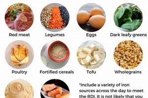 Essential Iron-Rich Foods for Baby 6 Months + Recipes | Baby Care 101: Essential Tips for Happy, Healthy Babies