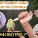 Find + Baby Bird Formula Near Me + Help | Baby Care 101: Essential Tips for Happy, Healthy Babies