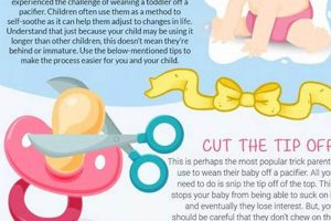 Gentle Guide: How to Wean Baby Off Pacifier - Tips! | Baby Care 101: Essential Tips for Happy, Healthy Babies