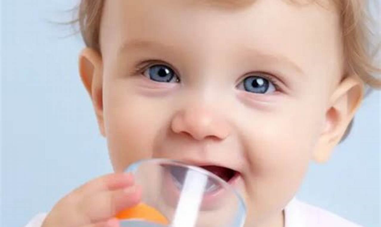Formula Feeding: Can Babies Drink Distilled Water Safely? | Baby Care 101: Essential Tips for Happy, Healthy Babies