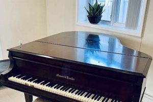 Find Your Free Baby Grand Piano in Scottsdale: A Guide Baby Care 101: Essential Tips for Happy, Healthy Babies Find Your Free Baby Grand Piano in Scottsdale: A Guide | Baby Care 101: Essential Tips for Happy, Healthy Babies