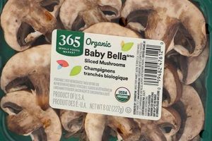 Are Baby Bella Mushrooms Safe? What to Know For Dogs | Baby Care 101: Essential Tips for Happy, Healthy Babies