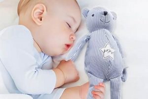 Safe Sleep: When Can Babies Sleep with a Stuffed Animal? Guide | Baby Care 101: Essential Tips for Happy, Healthy Babies