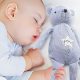 Safe Sleep: When Can Babies Sleep with a Stuffed Animal? Guide | Baby Care 101: Essential Tips for Happy, Healthy Babies