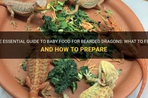 Guide to Bearded Dragon Baby Food: Nutritious Start | Baby Care 101: Essential Tips for Happy, Healthy Babies