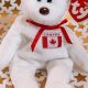 Collectible Maple Bear Beanie Baby: Value & Guide | Baby Care 101: Essential Tips for Happy, Healthy Babies